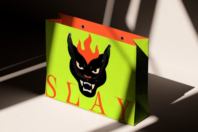Slay fashion concept