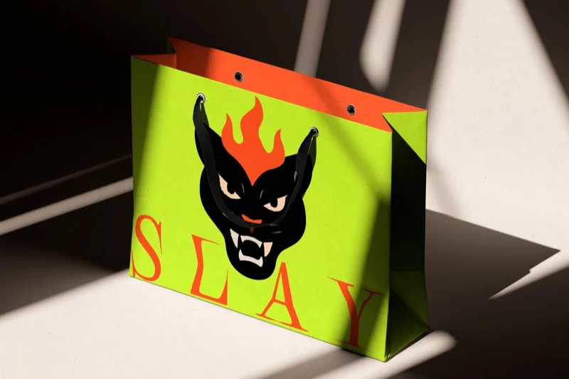 Slay fashion concept